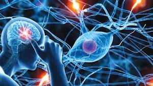 Brain & Stress